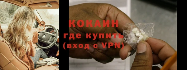 бошки Белокуриха