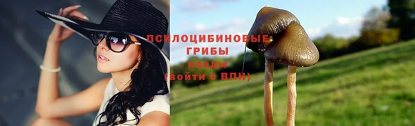 бошки Белокуриха