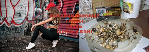 таблы Беломорск
